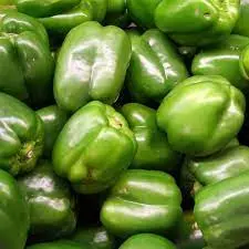 POIVRON VERT