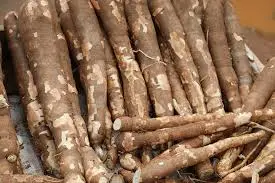 MANIOC